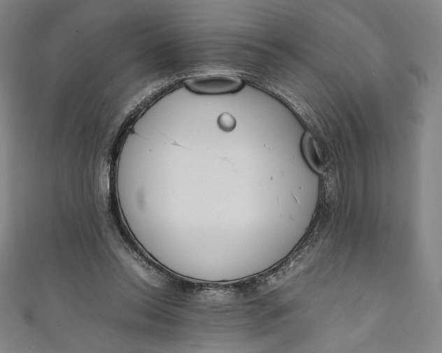 X0000111450350200907271235