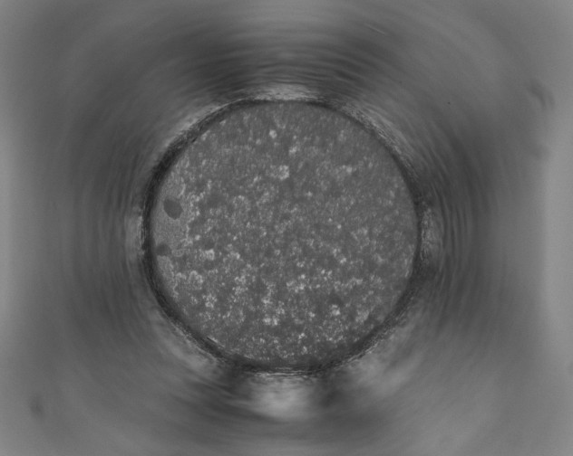 X0000111450351200907271235