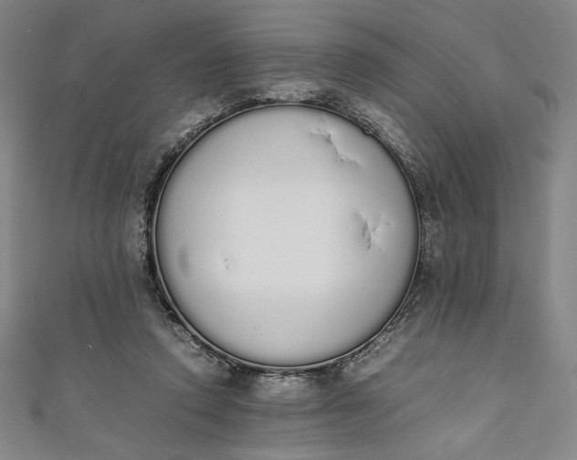 X0000111450354200907271235
