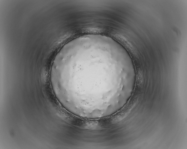 X0000111450355200907271235
