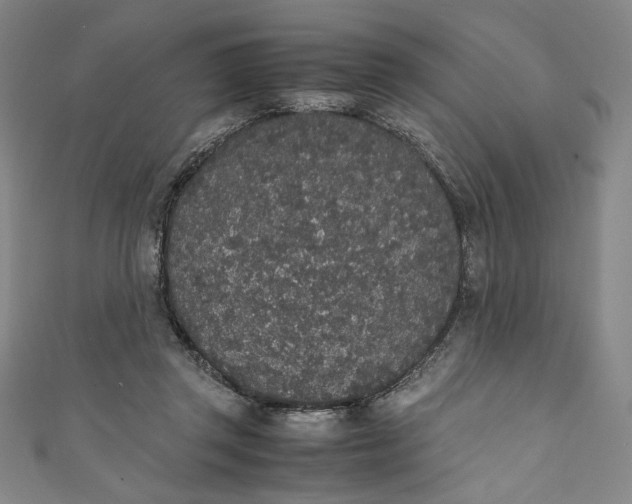 X0000111450357200907271235