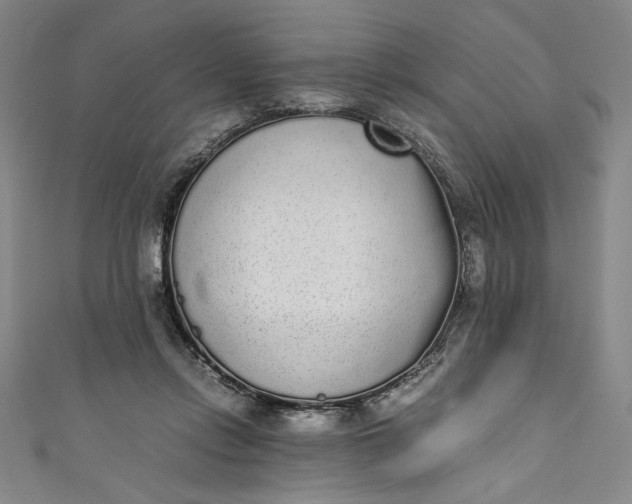 X0000111450358200907271235