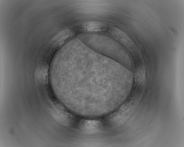 X0000111450360200907271235