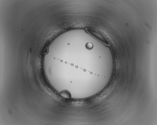 X0000111450362200907271235