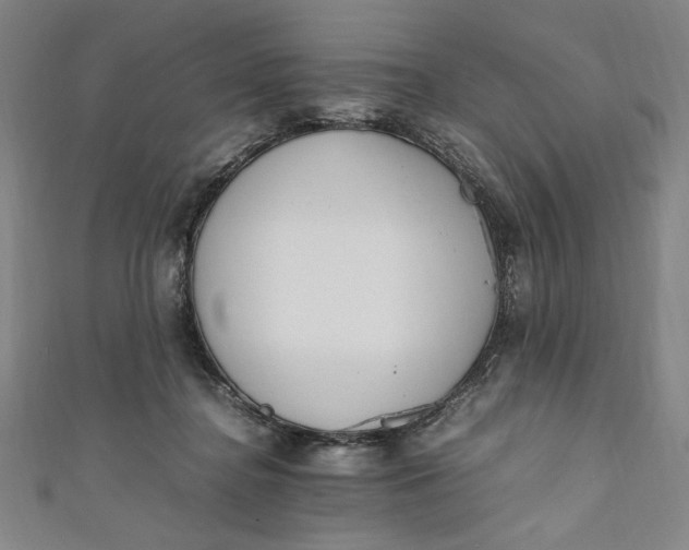 X0000111450364200907271235