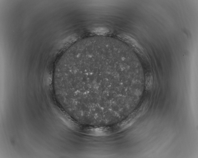 X0000111450365200907271235