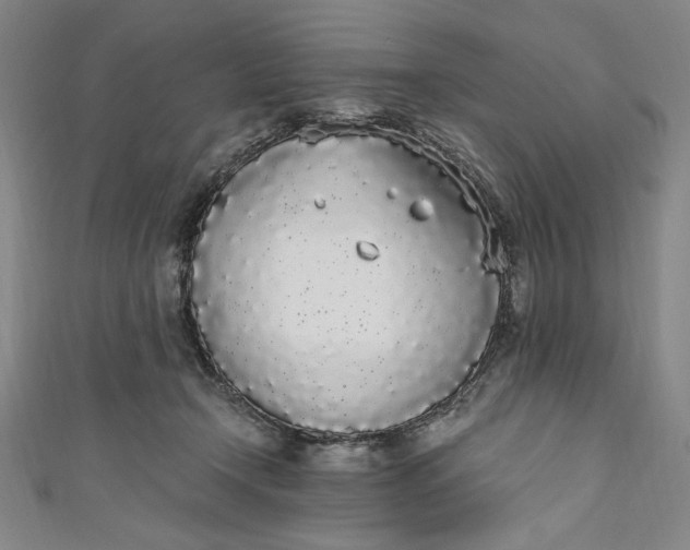 X0000111450366200907271235