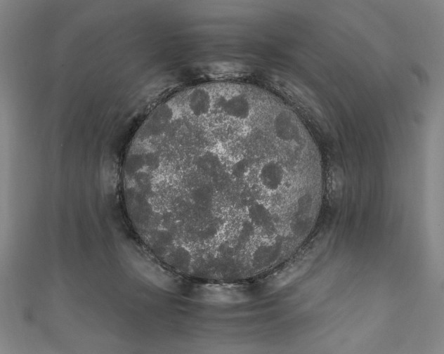 X0000111450367200907271235