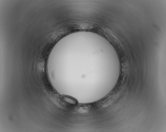 X0000111450368200907271235
