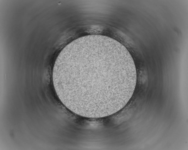 X0000111450370200907271235