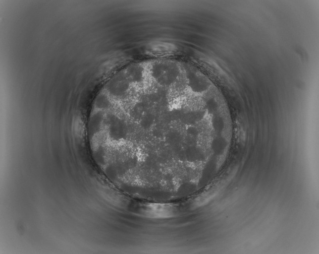 X0000111450371200907271235