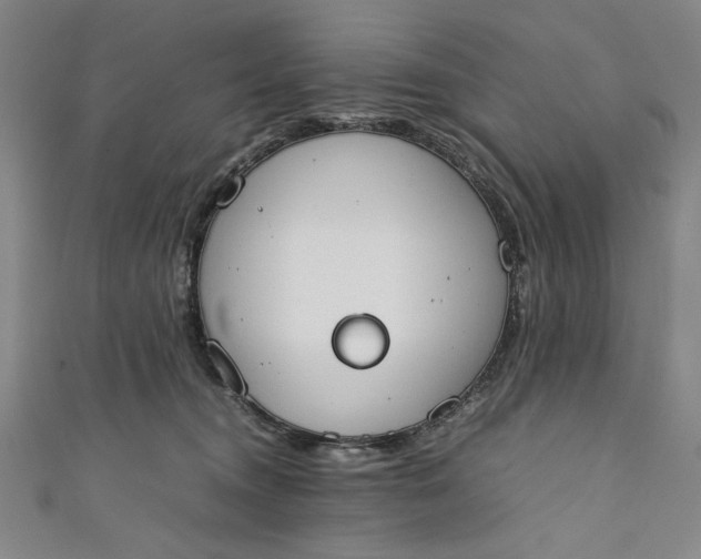 X0000111450372200907271235