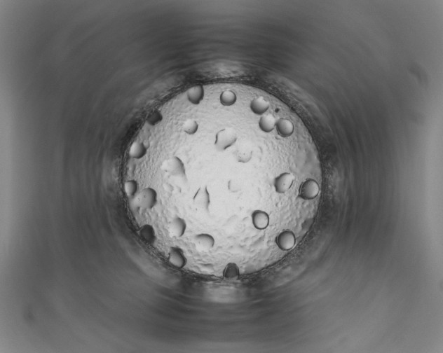 X0000111450373200907271235