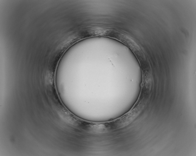 X0000111450374200907271235