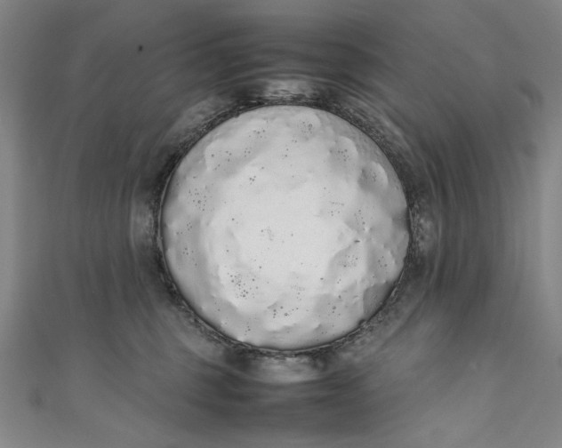 X0000111450375200907271235