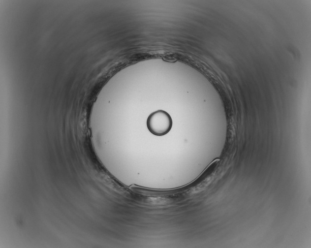 X0000111450376200907271235