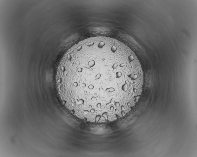 X0000111450377200907271235