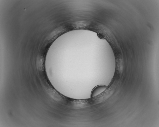 X0000111450378200907271235
