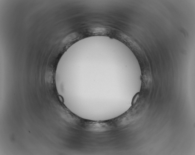 X0000111450379200907271235