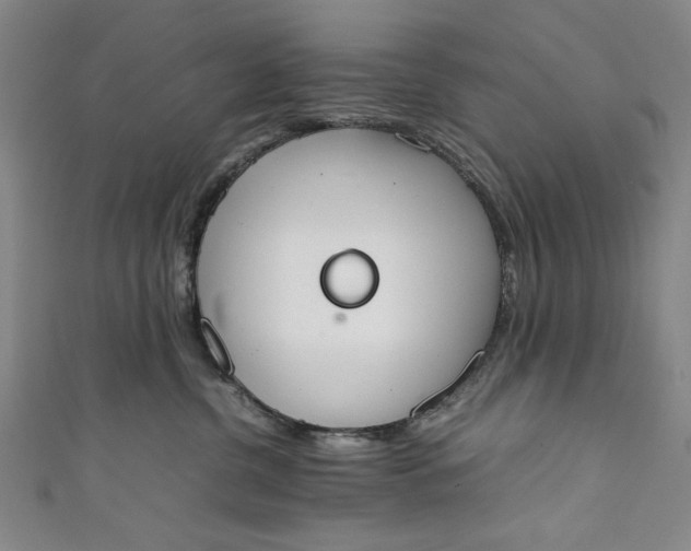 X0000111450380200907271235