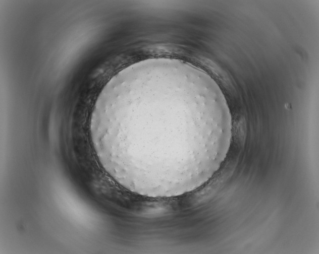 X0000111450381200907271235