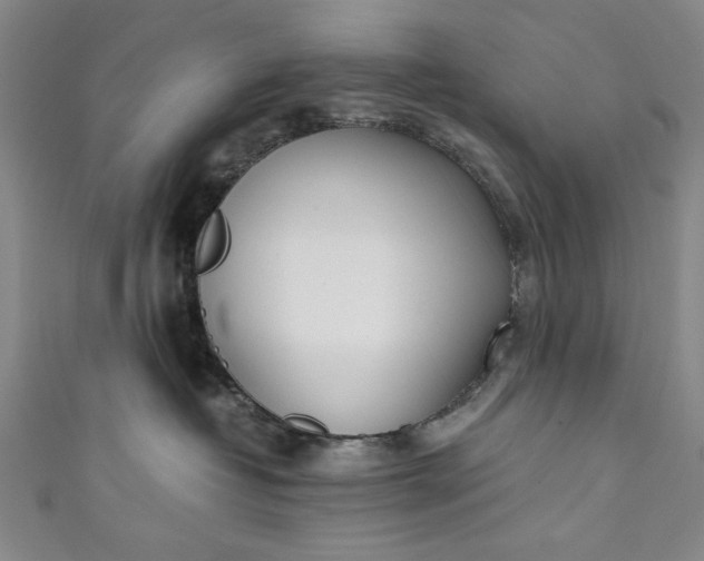 X0000111450382200907271235