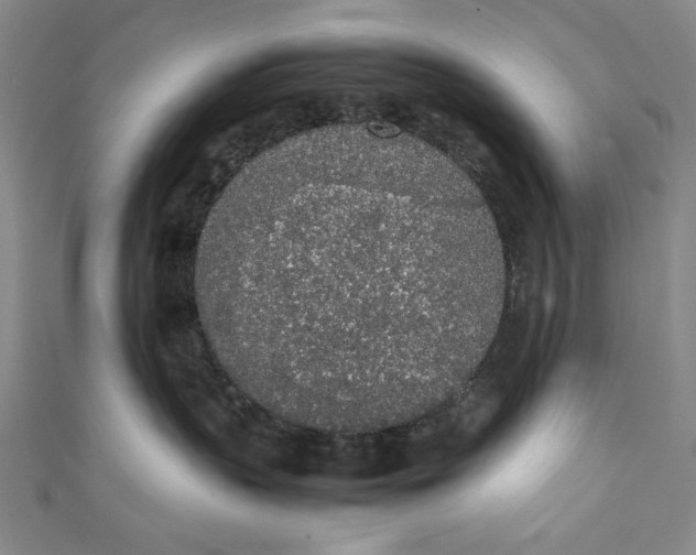 X0000111450383200907271235