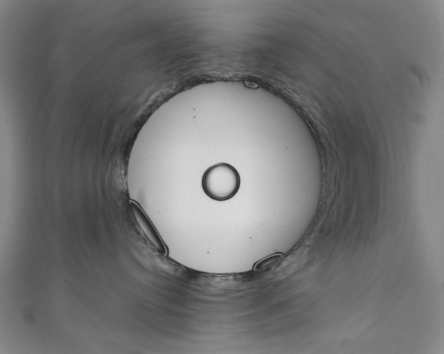 X0000111450384200907271235