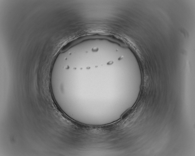 X0000111450385200907271235