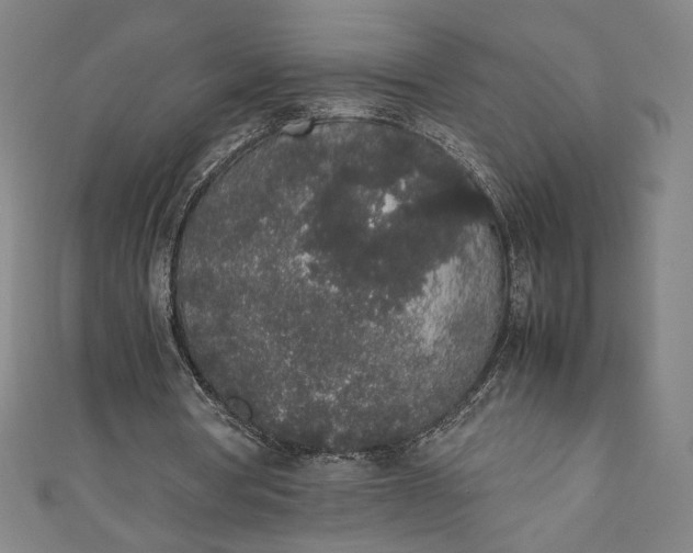 X0000111450386200907271235