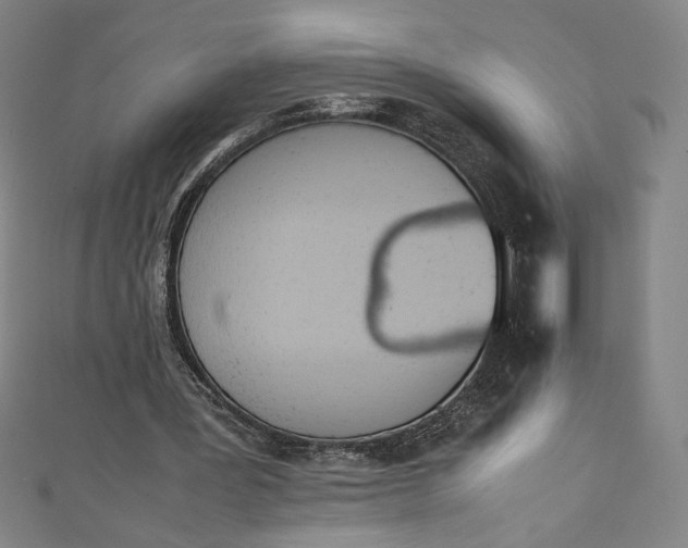 X0000111450387200907271235