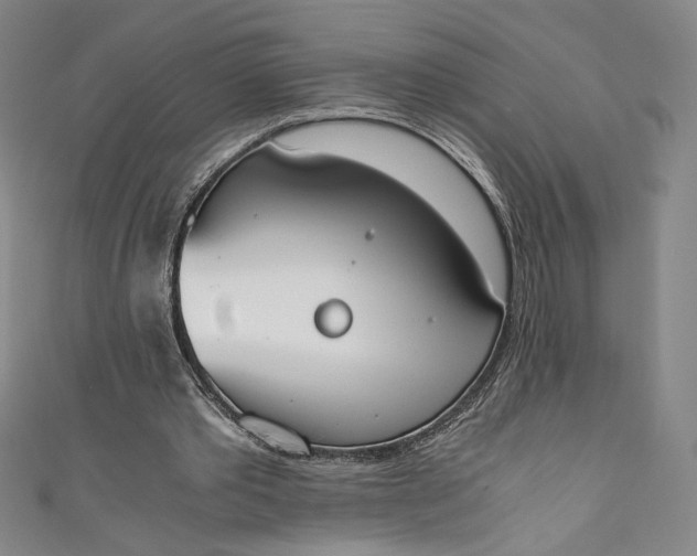 X0000111450389200907271235