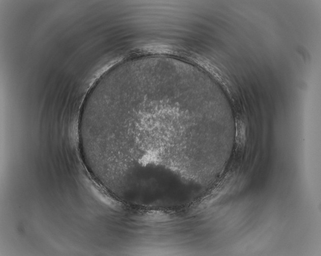 X0000111450390200907271235