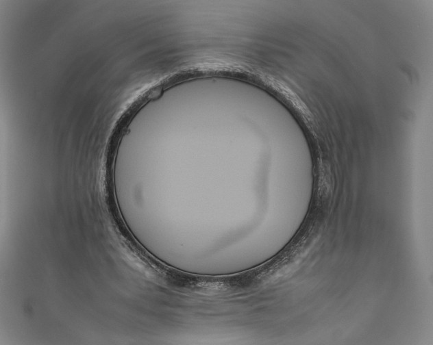 X0000111450391200907271235