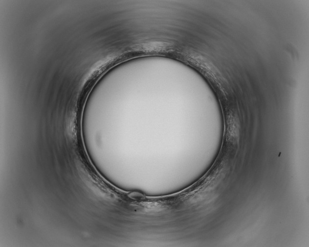 X0000111450392200907271235
