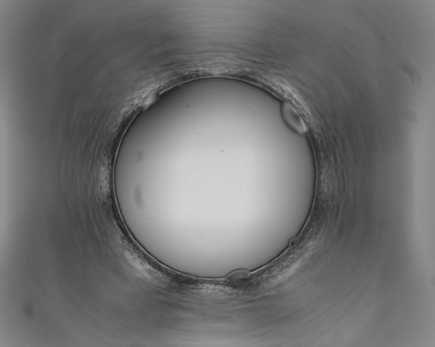 X0000111450393200907271235