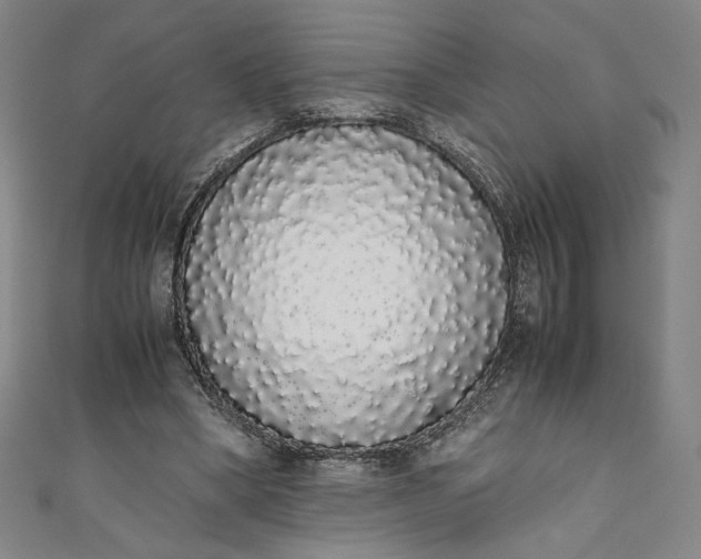 X0000111450394200907271235