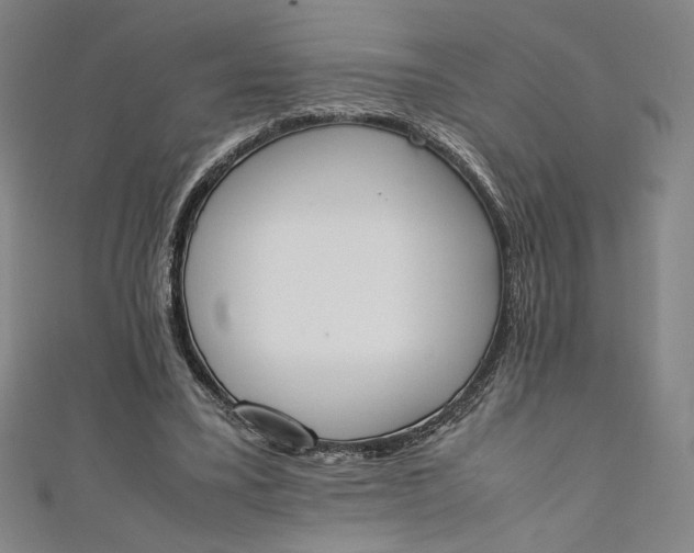 X0000111450395200907271235