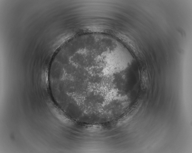 X0000111450398200907271235