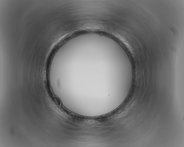 X0000111450399200907271235