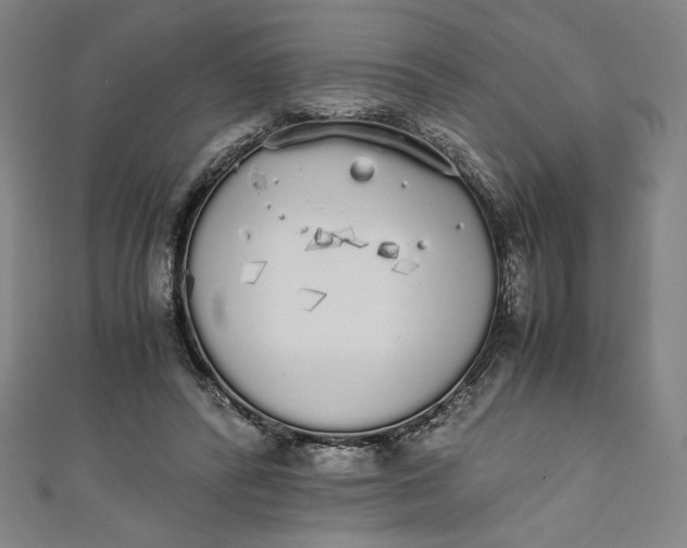 X0000111450400200907271235