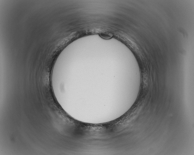 X0000111450401200907271235