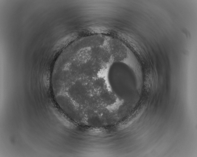 X0000111450402200907271235