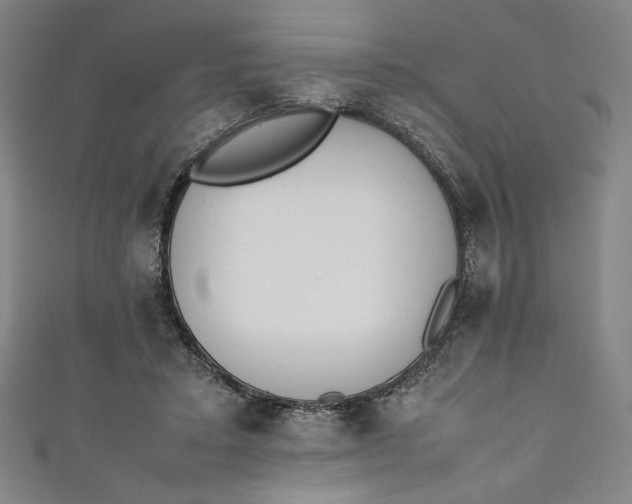 X0000111450403200907271235