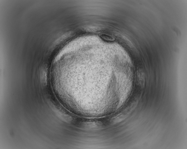 X0000111450404200907271235