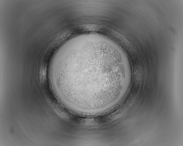 X0000111450406200907271235