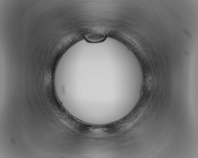 X0000111450407200907271235