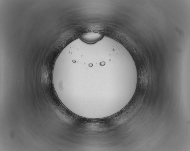 X0000111450408200907271235
