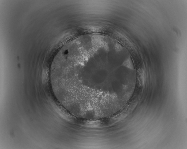 X0000111450410200907271234
