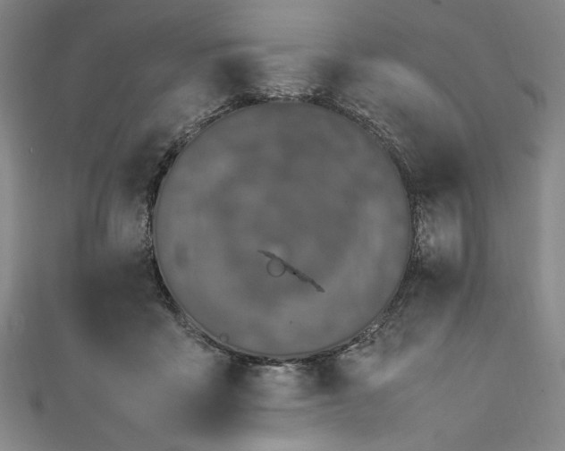 X0000111450411200907271234
